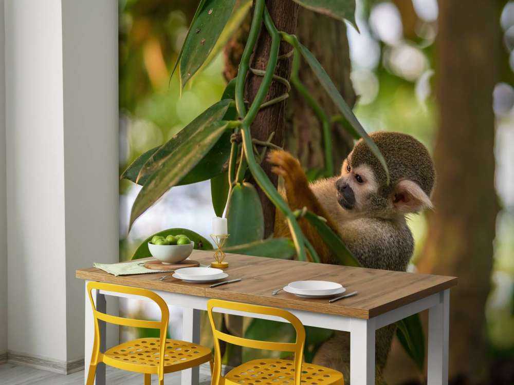 Kleine aap in de bomen