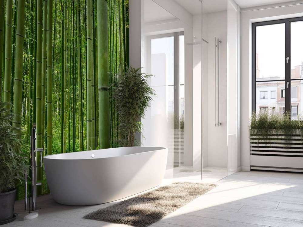 Midden in het bamboebos