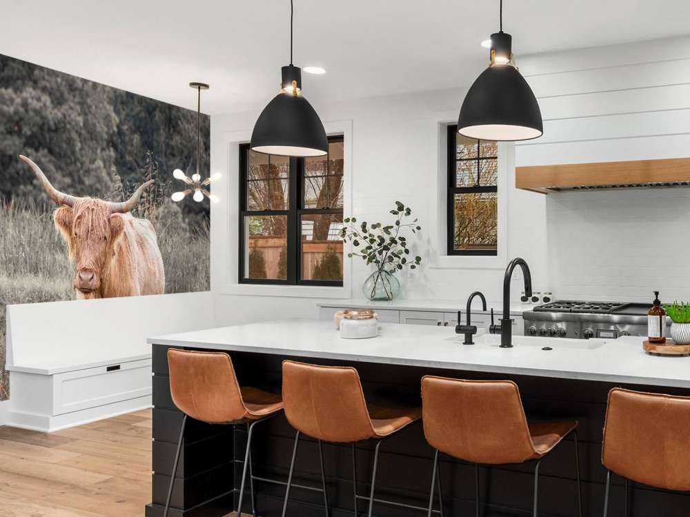 Schotse hooglander in een veld