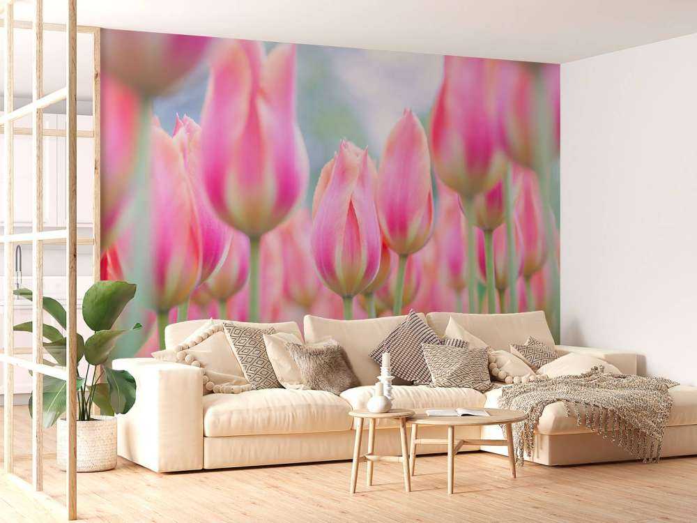 Close-up roze tulpen