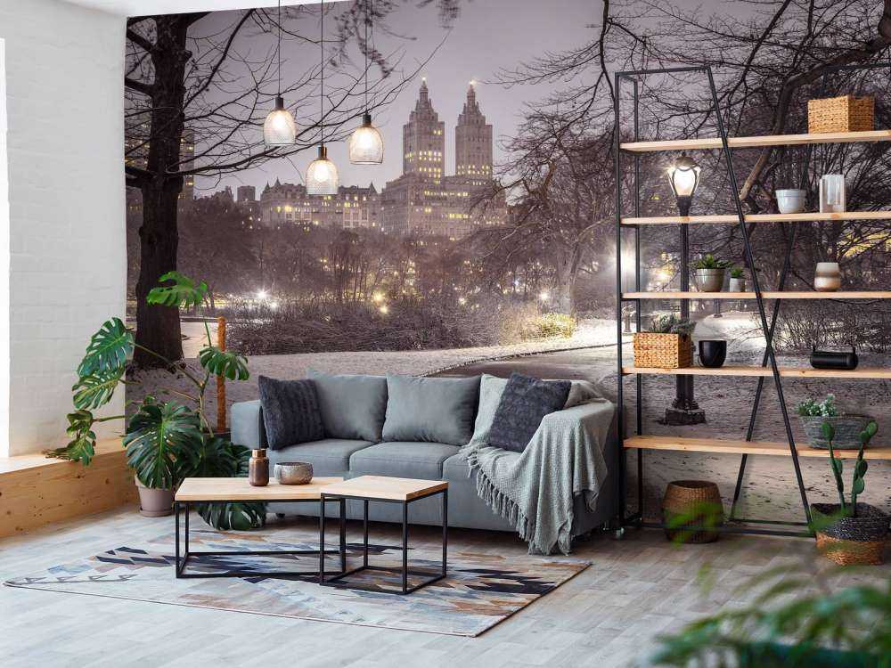 Besneeuwd Central park