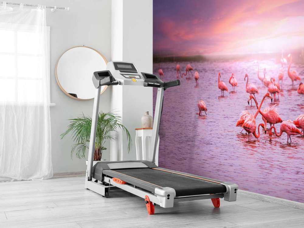 Flamingo's met zonsondergang