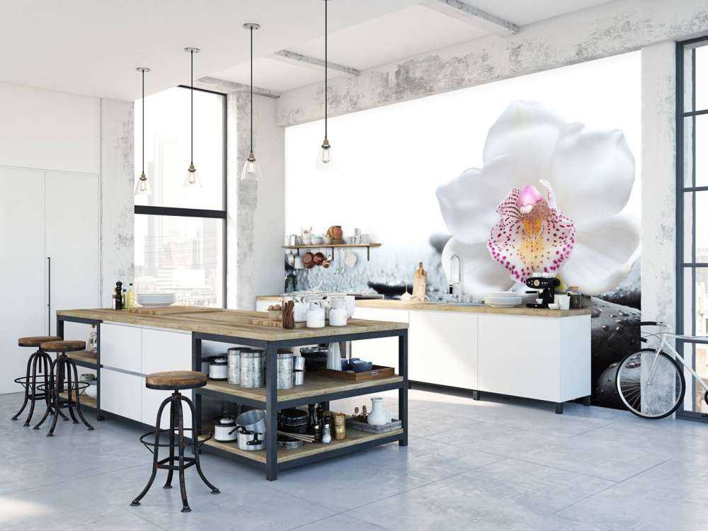 Witte orchidee