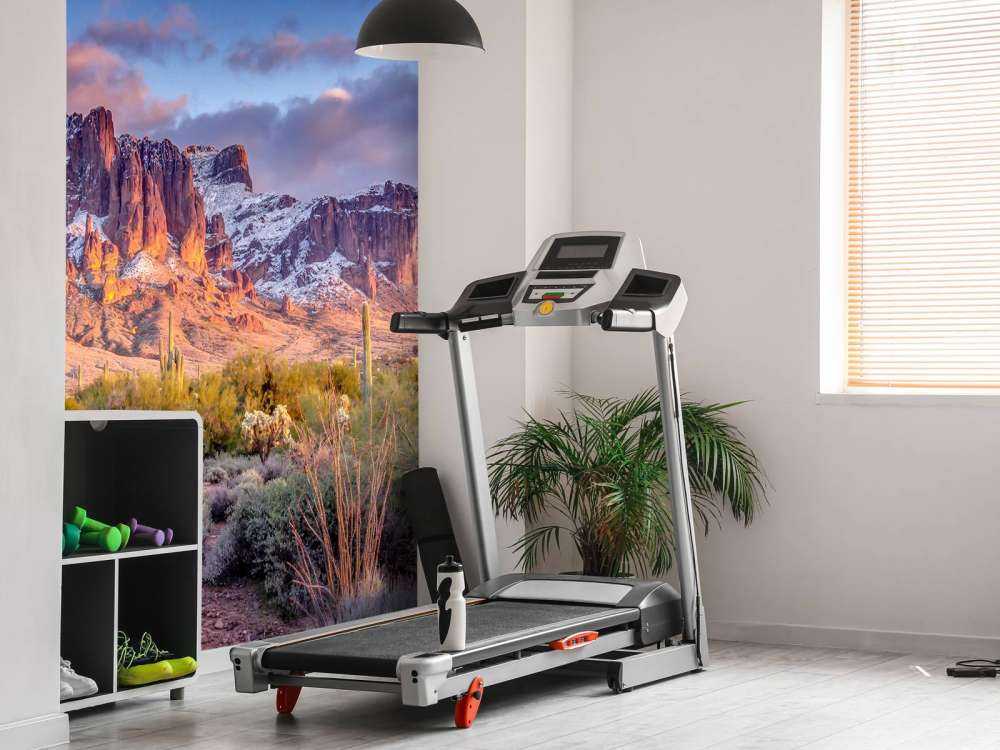 Cactus in een berglandschap