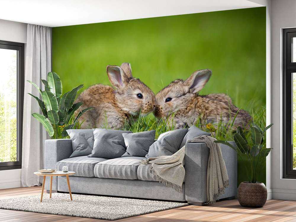 Twee baby haasjes in het gras