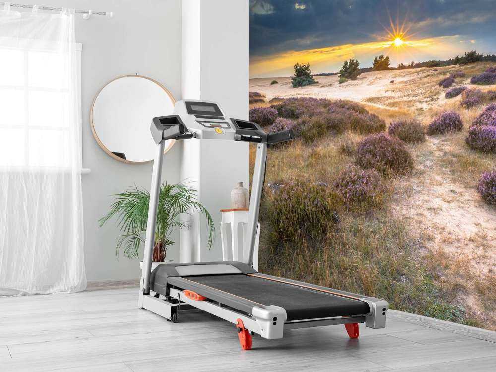 Zonsopkomst op de Veluwe