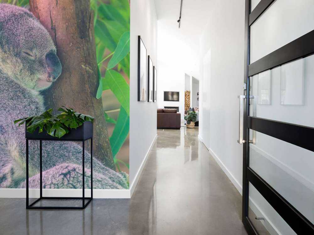 Koala aan het slapen