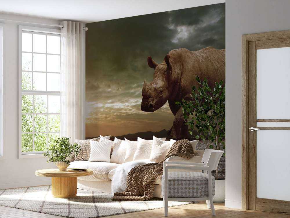 Afrikaanse neushoorn op een vuil veld