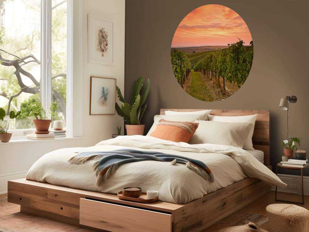 Wijngaard bij zonsondergang