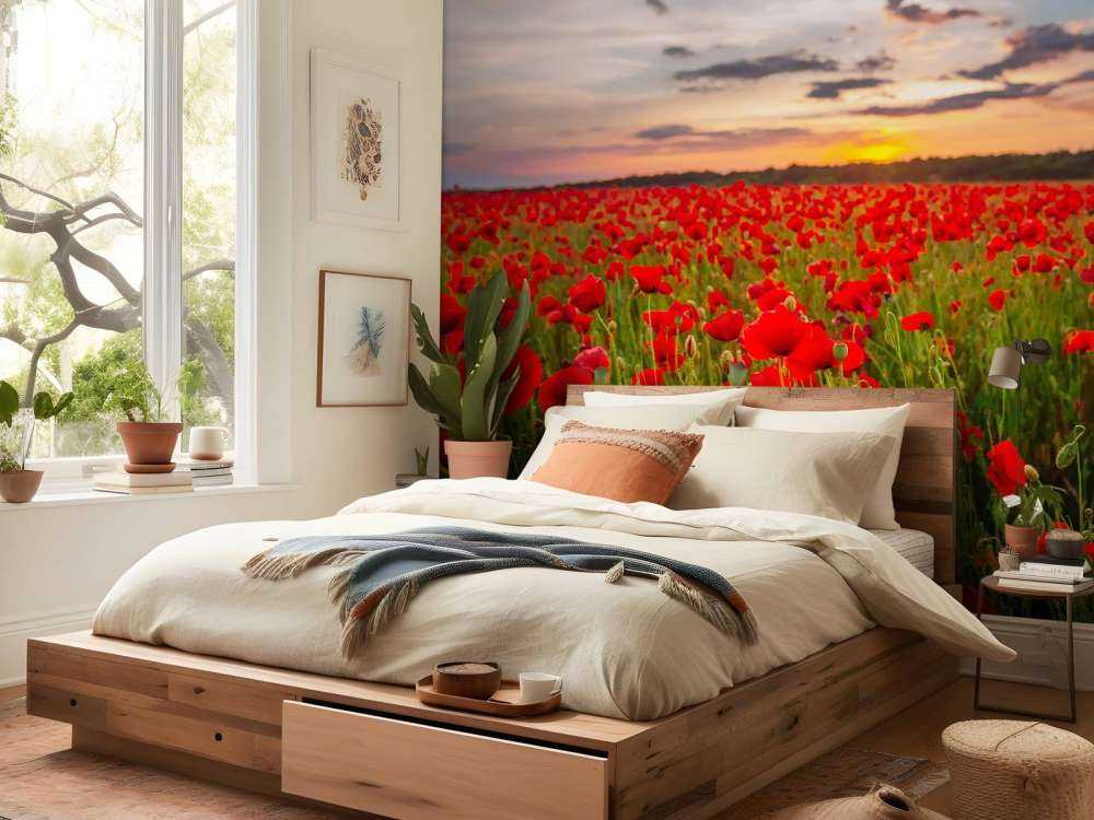 Rode klaprozenveld bij zonsondergang