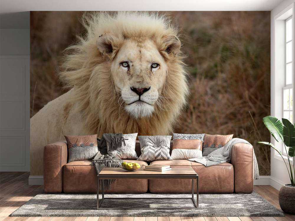 Harige Leeuw in de natuur