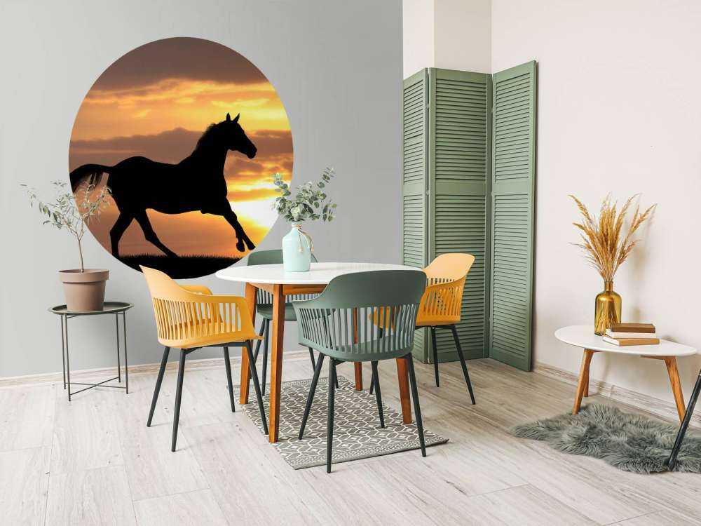 Paard tijdens Zonsondergang