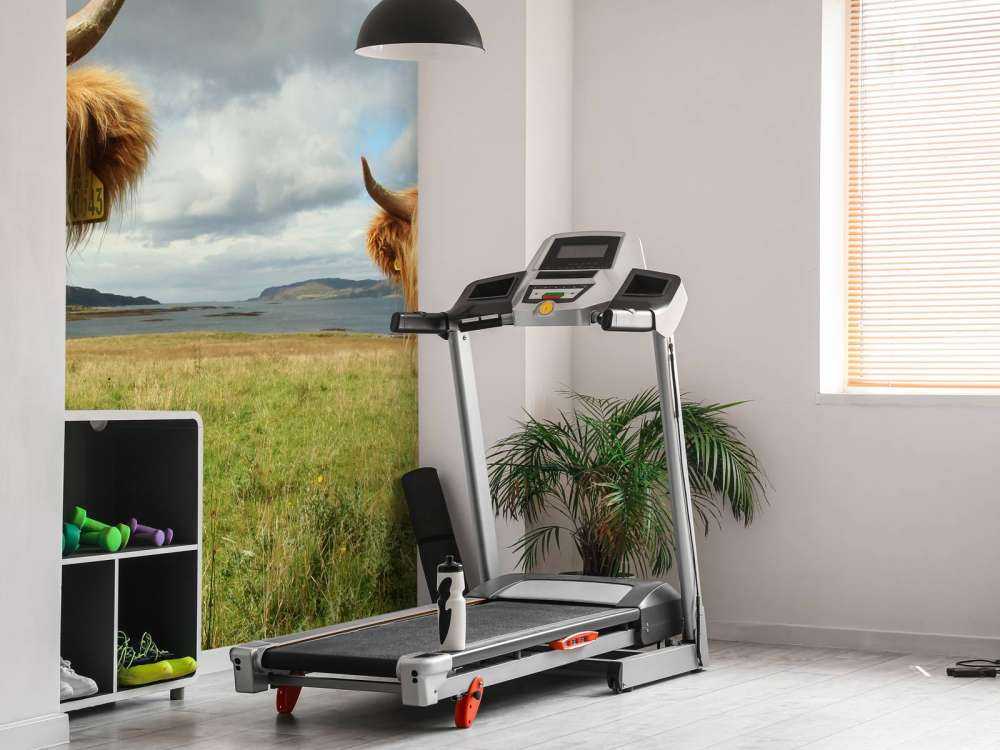 2 Schotse Hooglanders