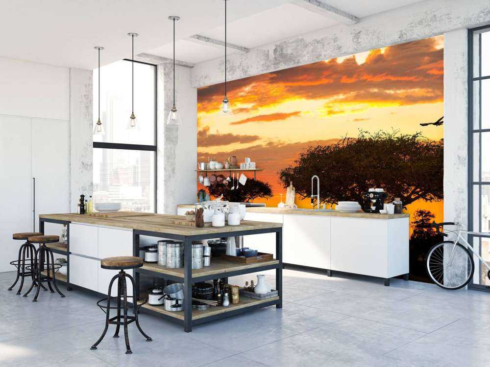 Safari in Afrika bij zonsondergang