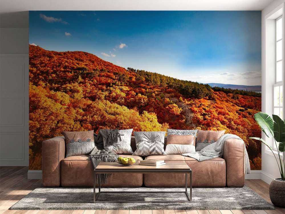 Landschap met gekleurde bomen