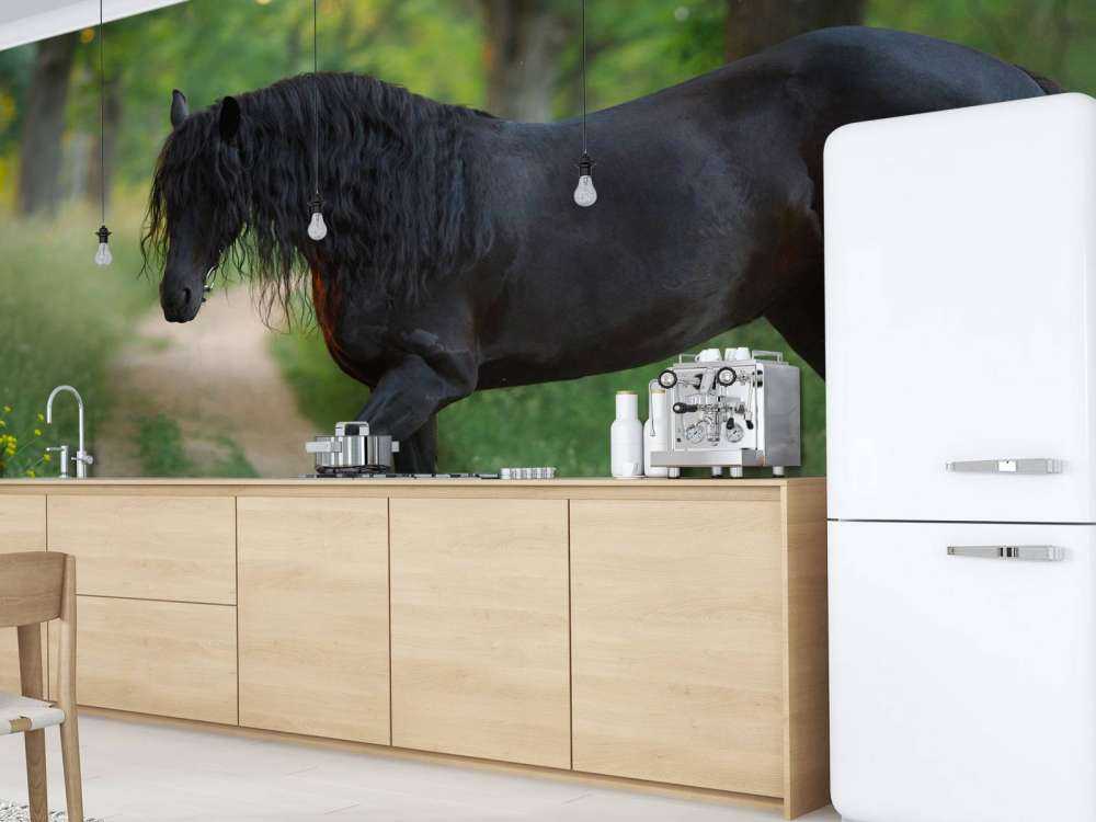 Fries Paard op een Zandweg