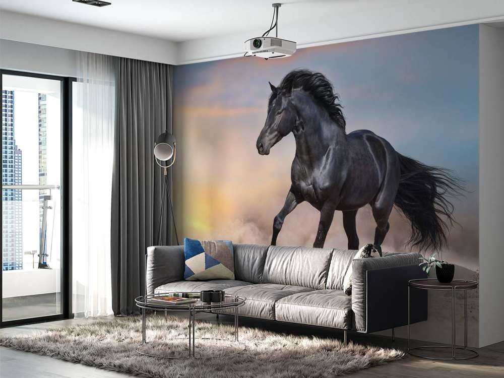 Mooi Zwart Paard in Zand