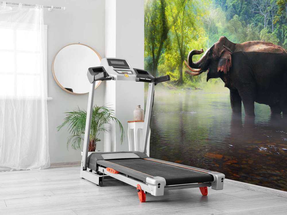 Wilde olifant in de jungle