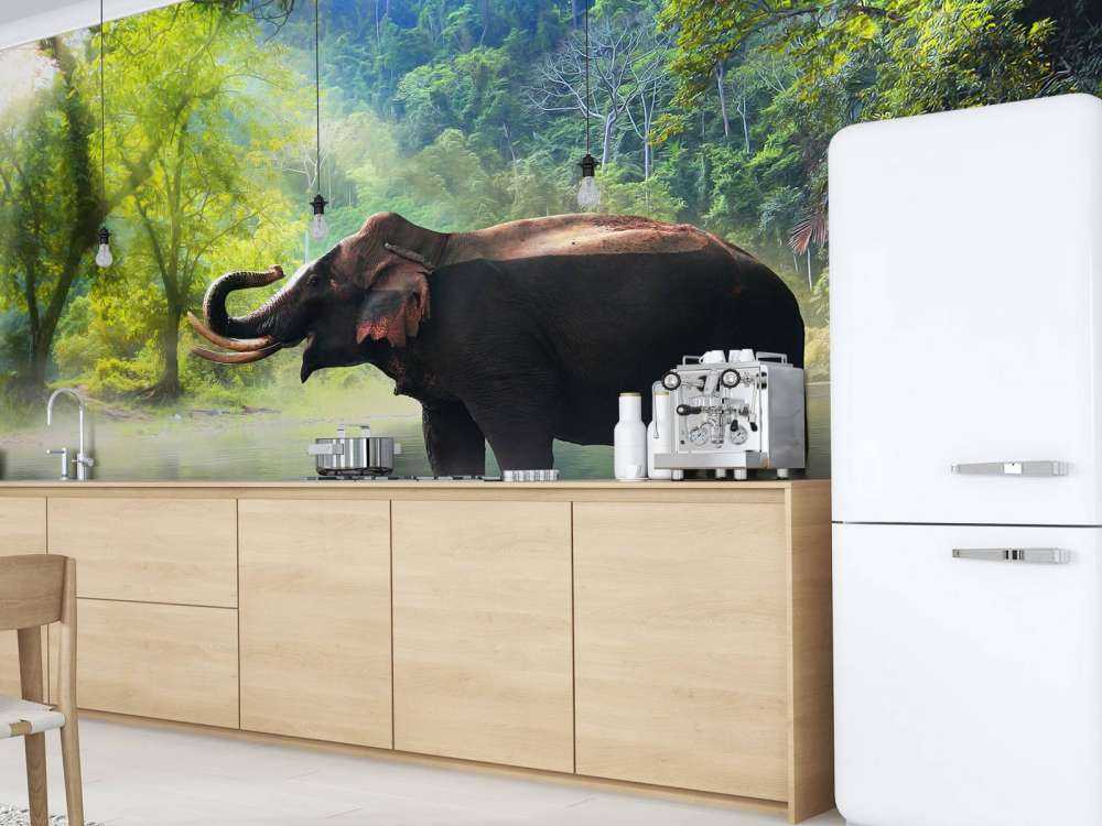 Wilde olifant in de jungle