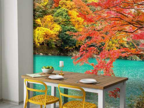 Rivier in Arashiyama in het herfstseizoen