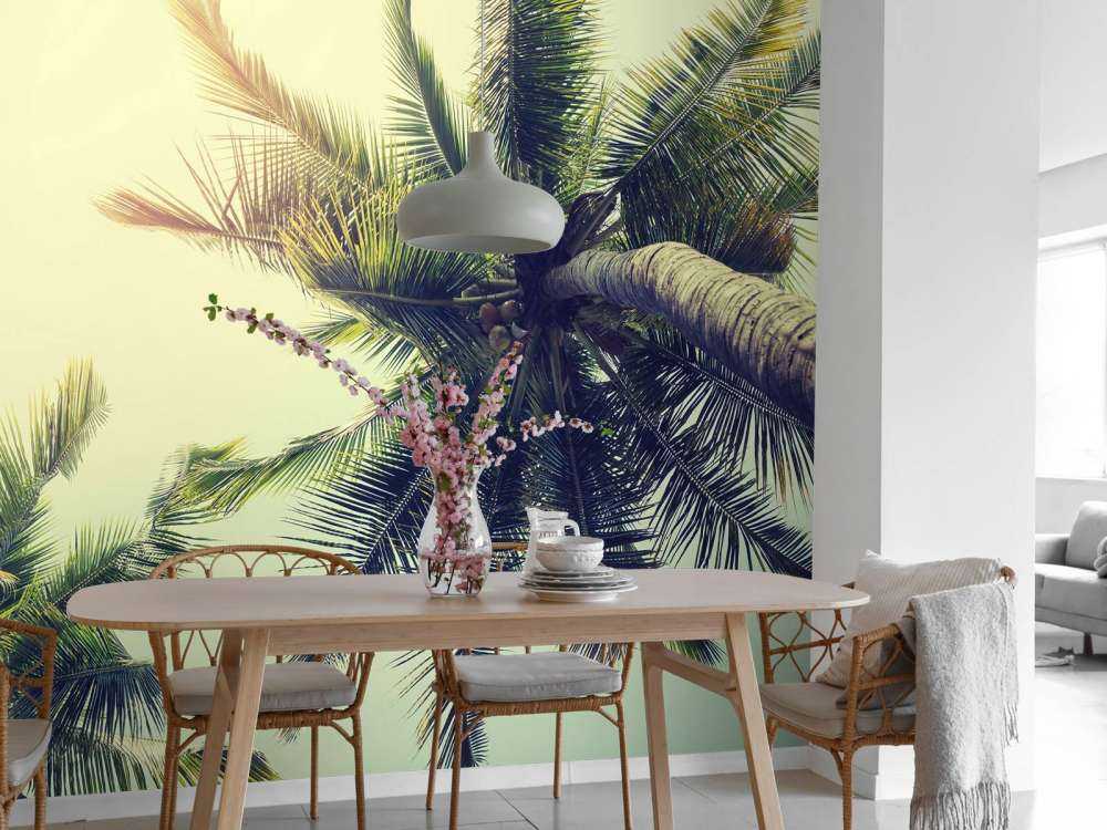 Palmboom Bladeren Vintage