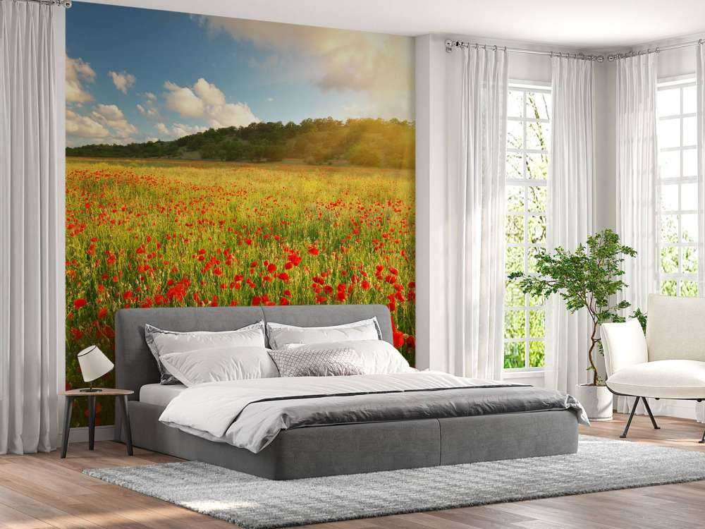 Klaprozen met Zonsondergang