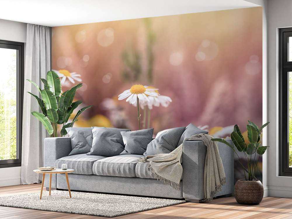 Veld vol Madeliefjes