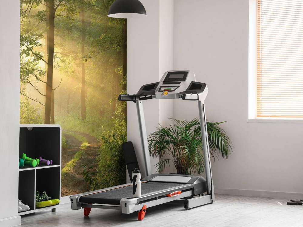 Mistige bosweg bij zonsopkomst