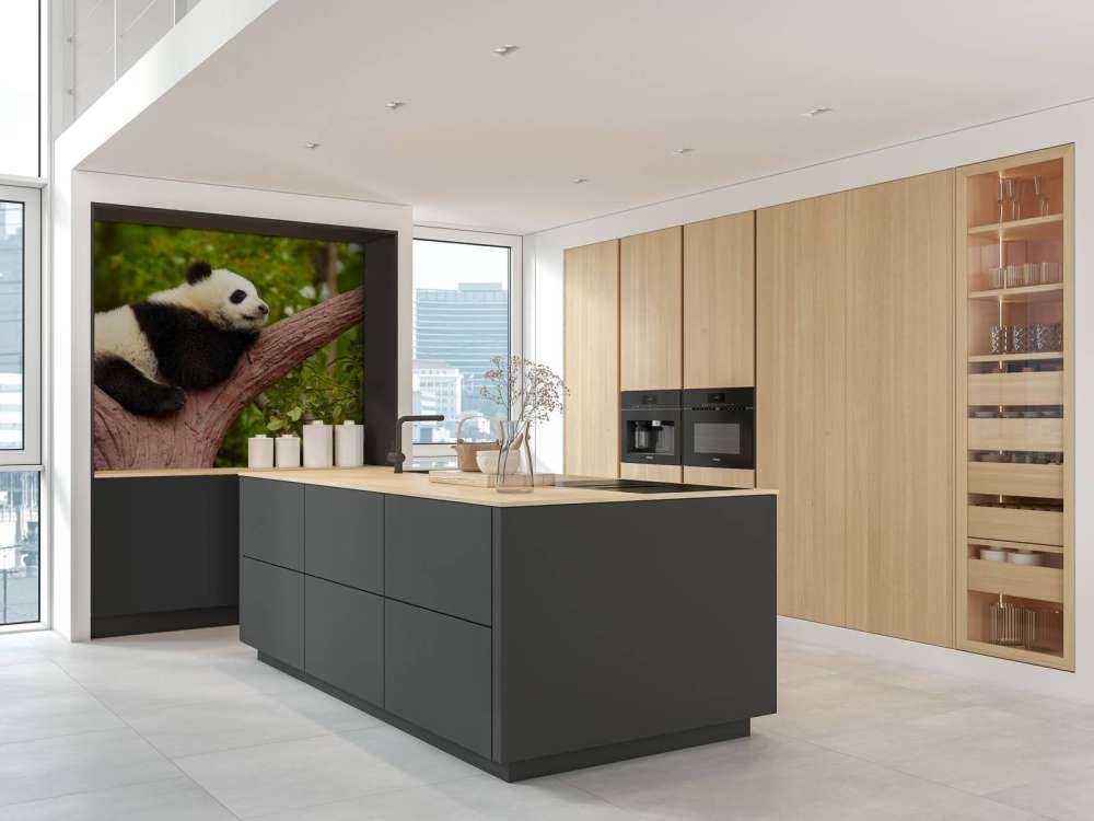 Slapende panda in een boom