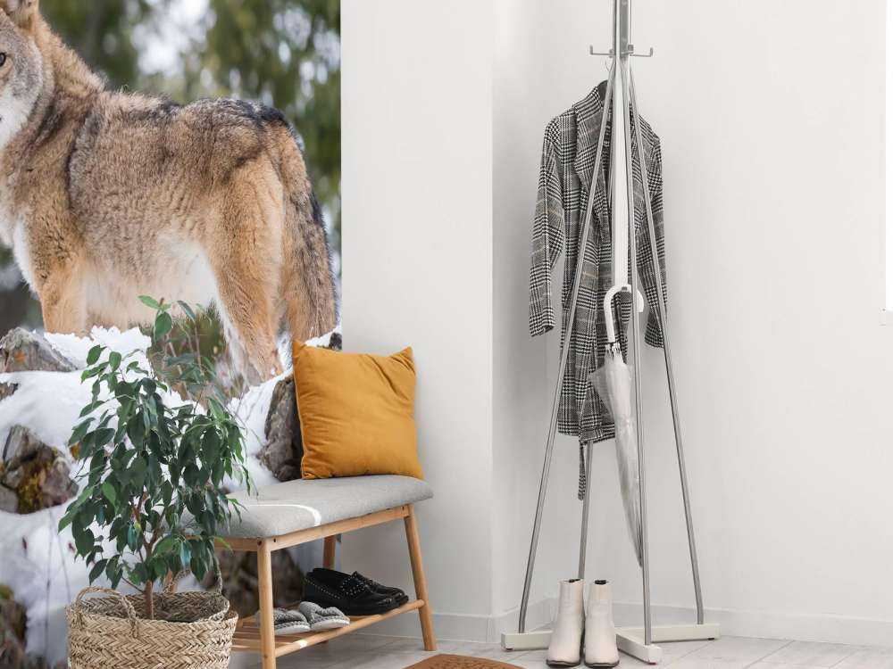 Een coyote in de winter