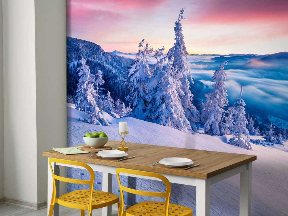 De Karpaten in de winter