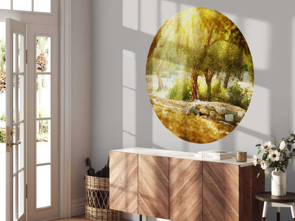 Mediterrane Olijven Boomgaard