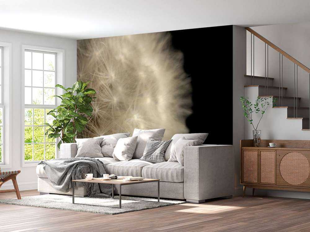 Paardenbloem met zwarte achtergrond