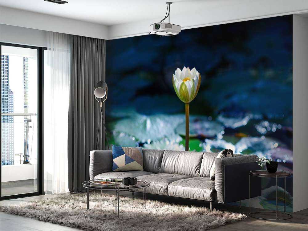 Lotusbloem in opkomend zonlicht