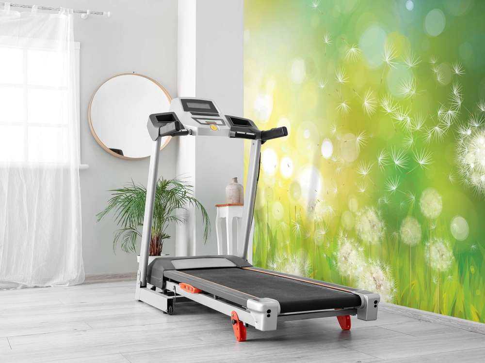 Paardebloemen in de lente