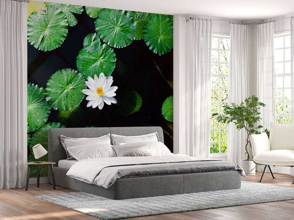 Opvallende witte kleine lotusbloem