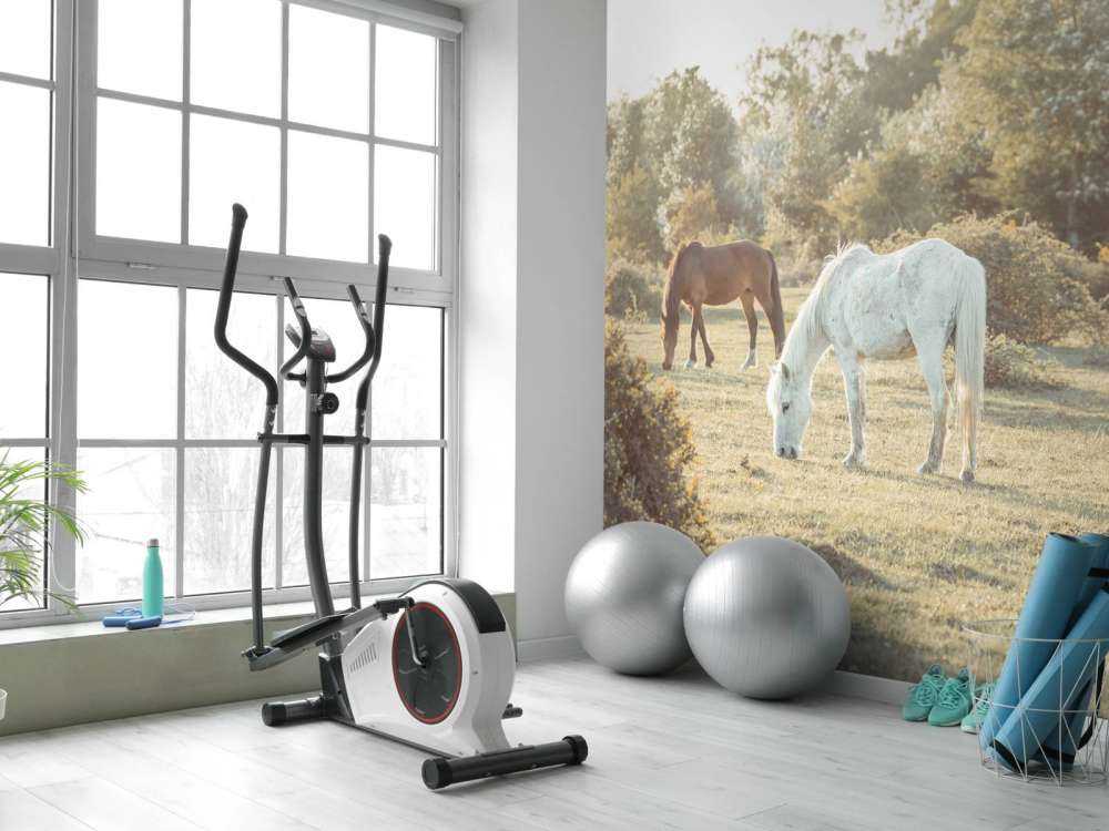 Grazende paarden