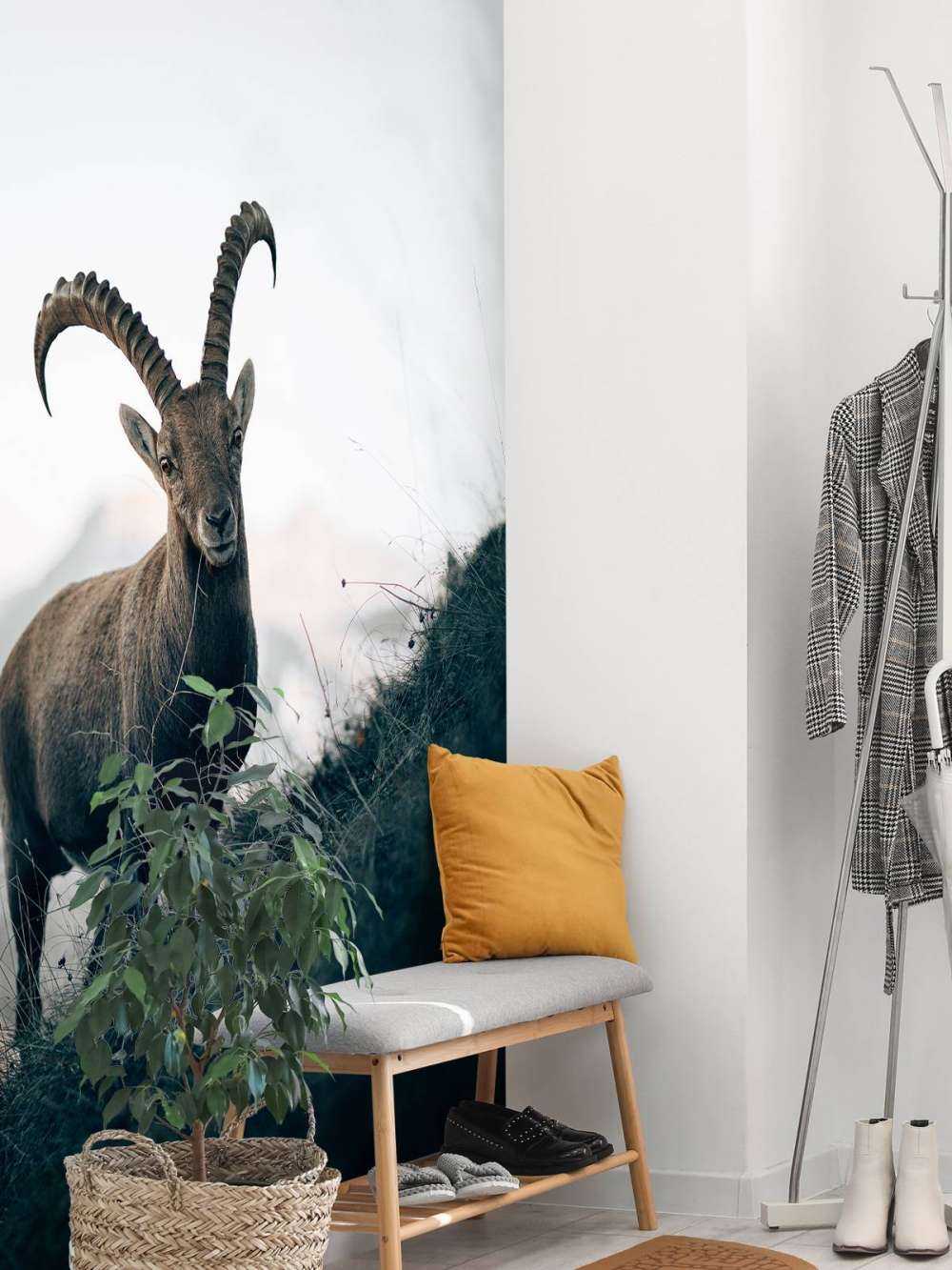 Steenbok in de bergen