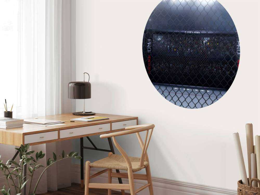 MMA arena van dichtbij