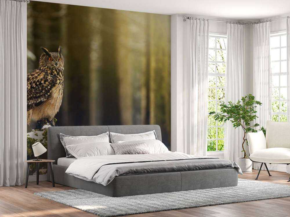 Uil in een sneeuwig bos