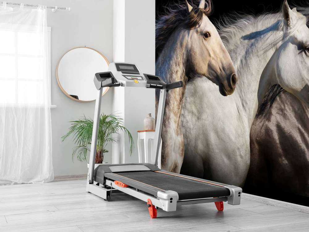 Drie paarden met een zwarte achtergrond