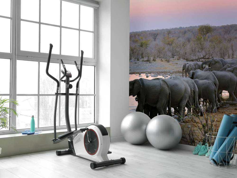 Olifanten langs het water