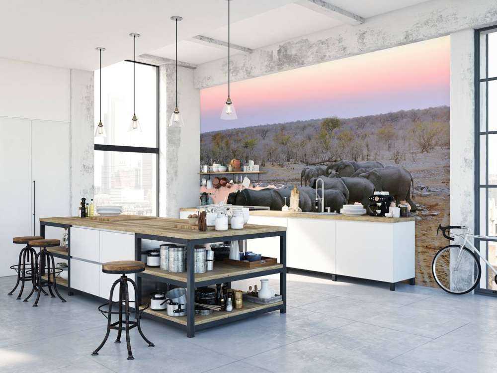 Olifanten langs het water