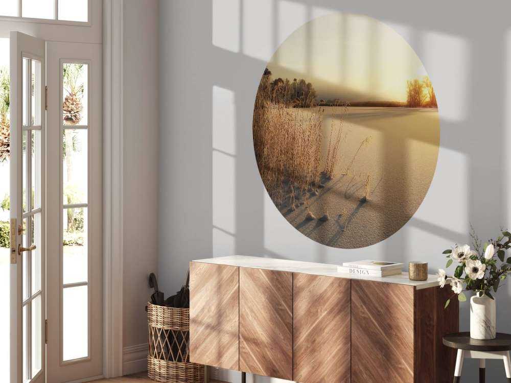 Riet op het strand bij zonsondergang