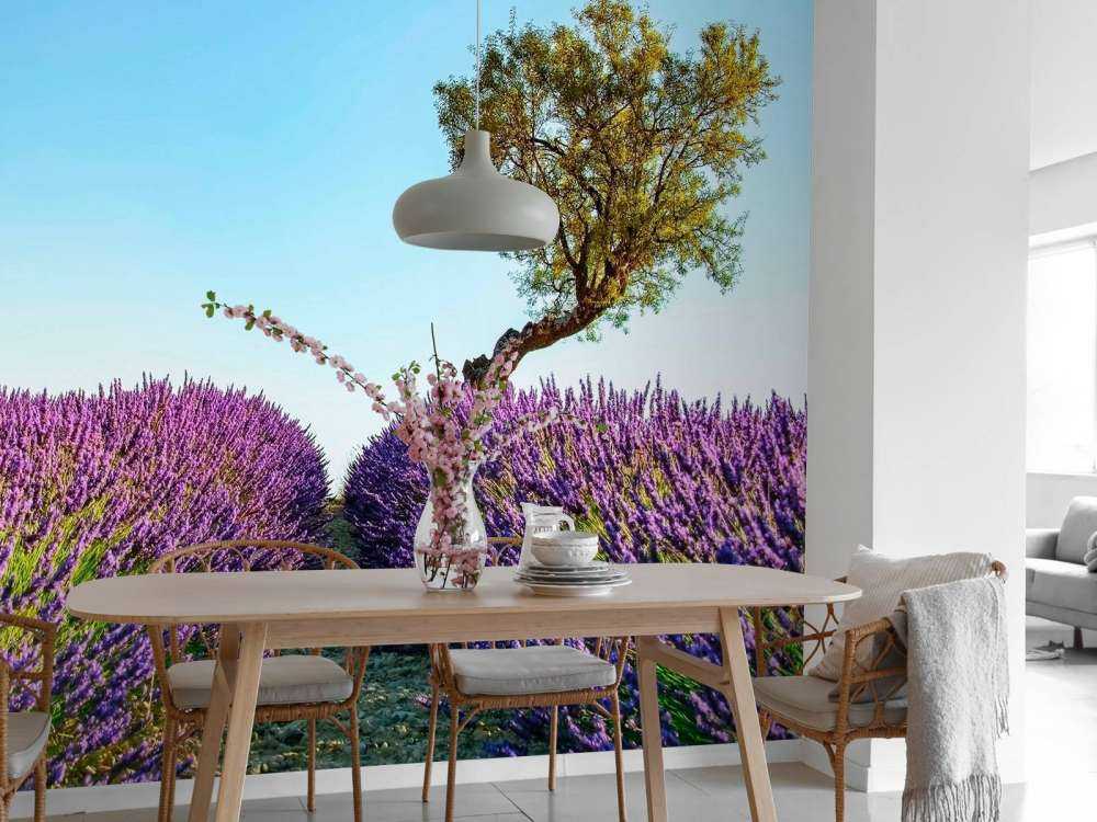 Lavendelpad onder blauwe hemel