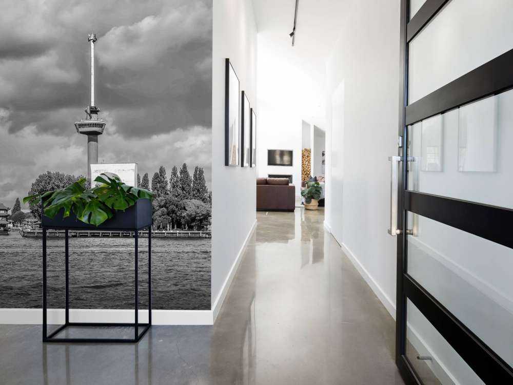 Euromast en Maas in Monochroom