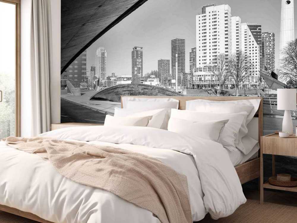 Rotterdamse Skyline onder de Brug