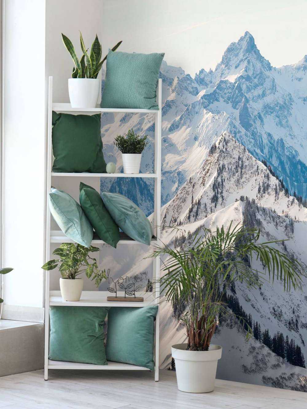 Winterkam met alpenpieken in zonlicht