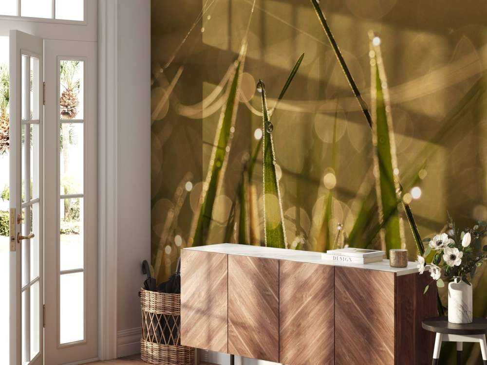 Glanzend Ochtendgras