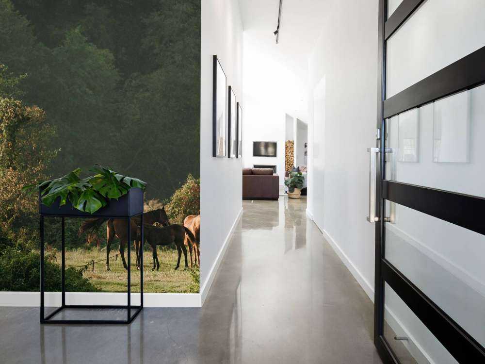 Paarden in het Betoverde Woud